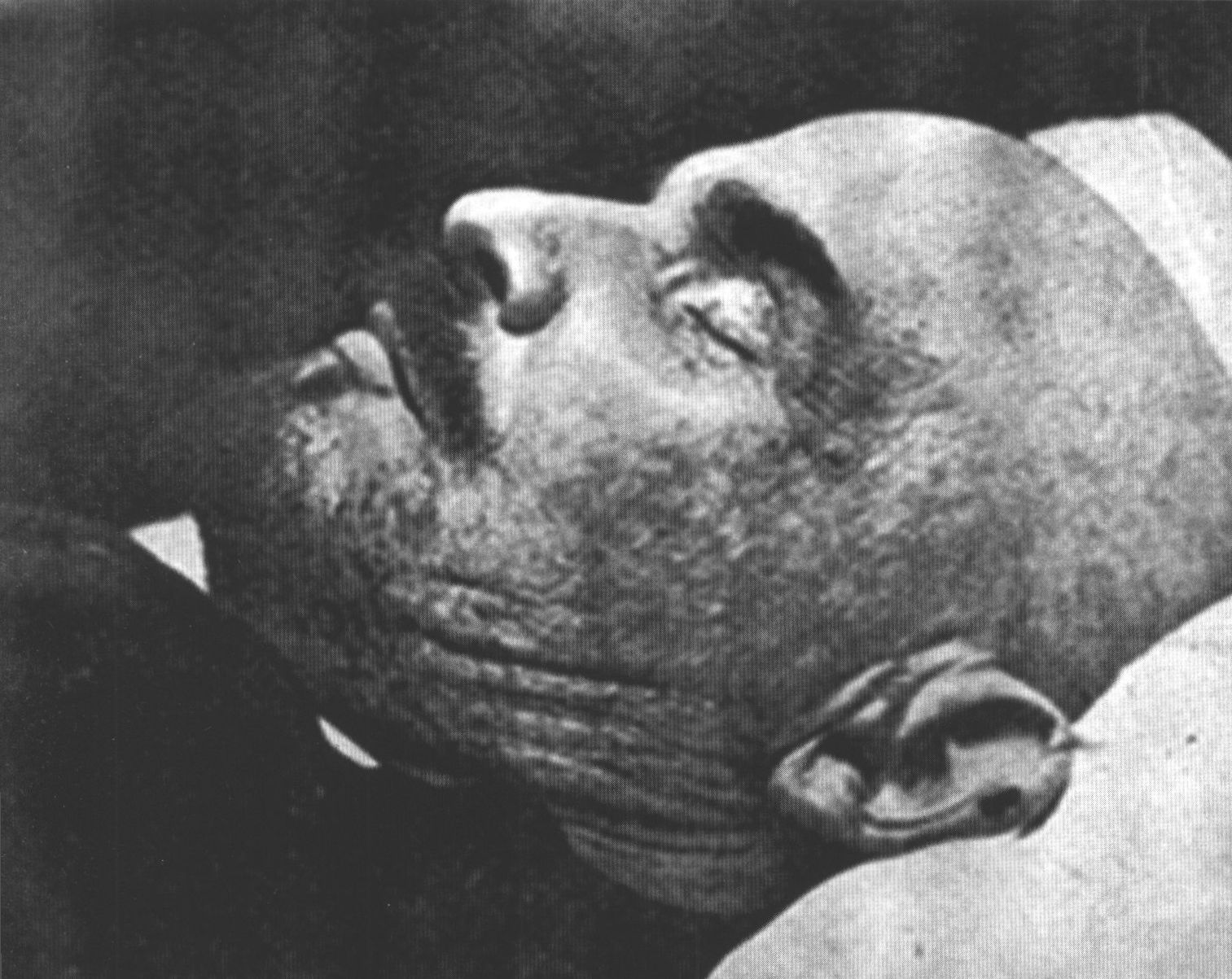 Голова мумии Ленина
