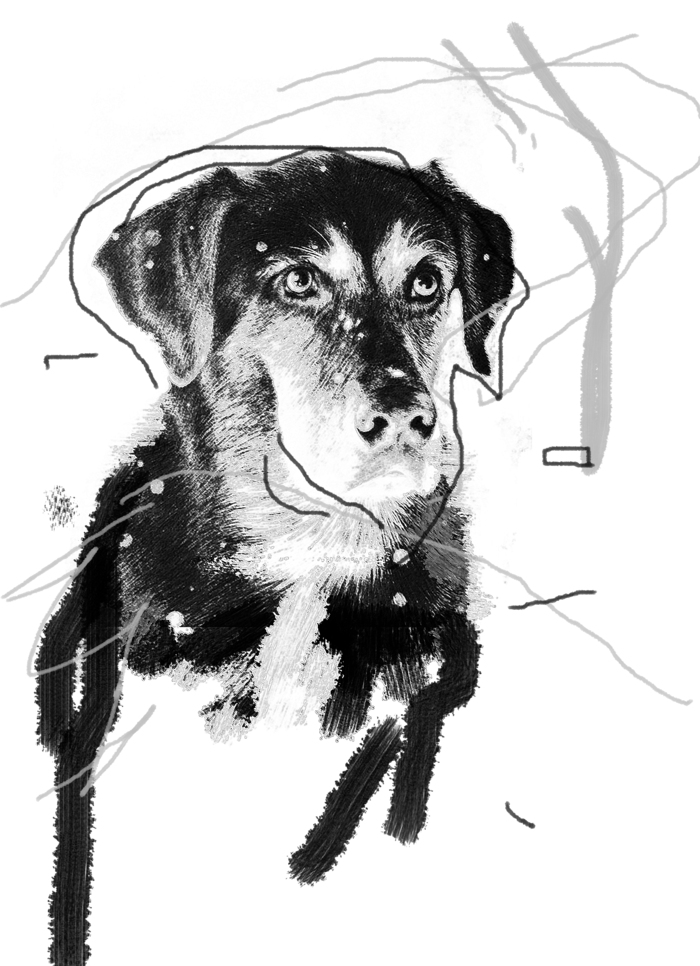 Иллюстрации Виктора Еременко к «Собачьему сердцу»